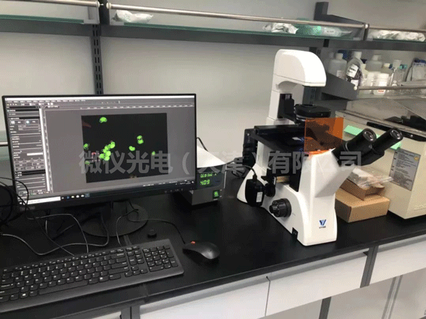 微儀細胞檢測顯微鏡走進天津中醫藥大學